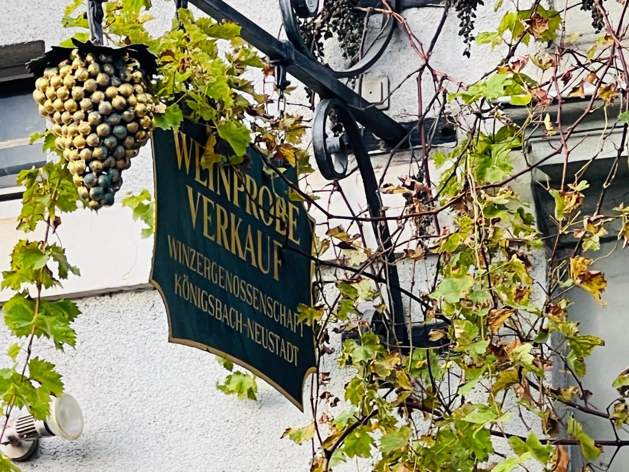 Artvacanza Neustadt * Neustadt an der Weinstrasse